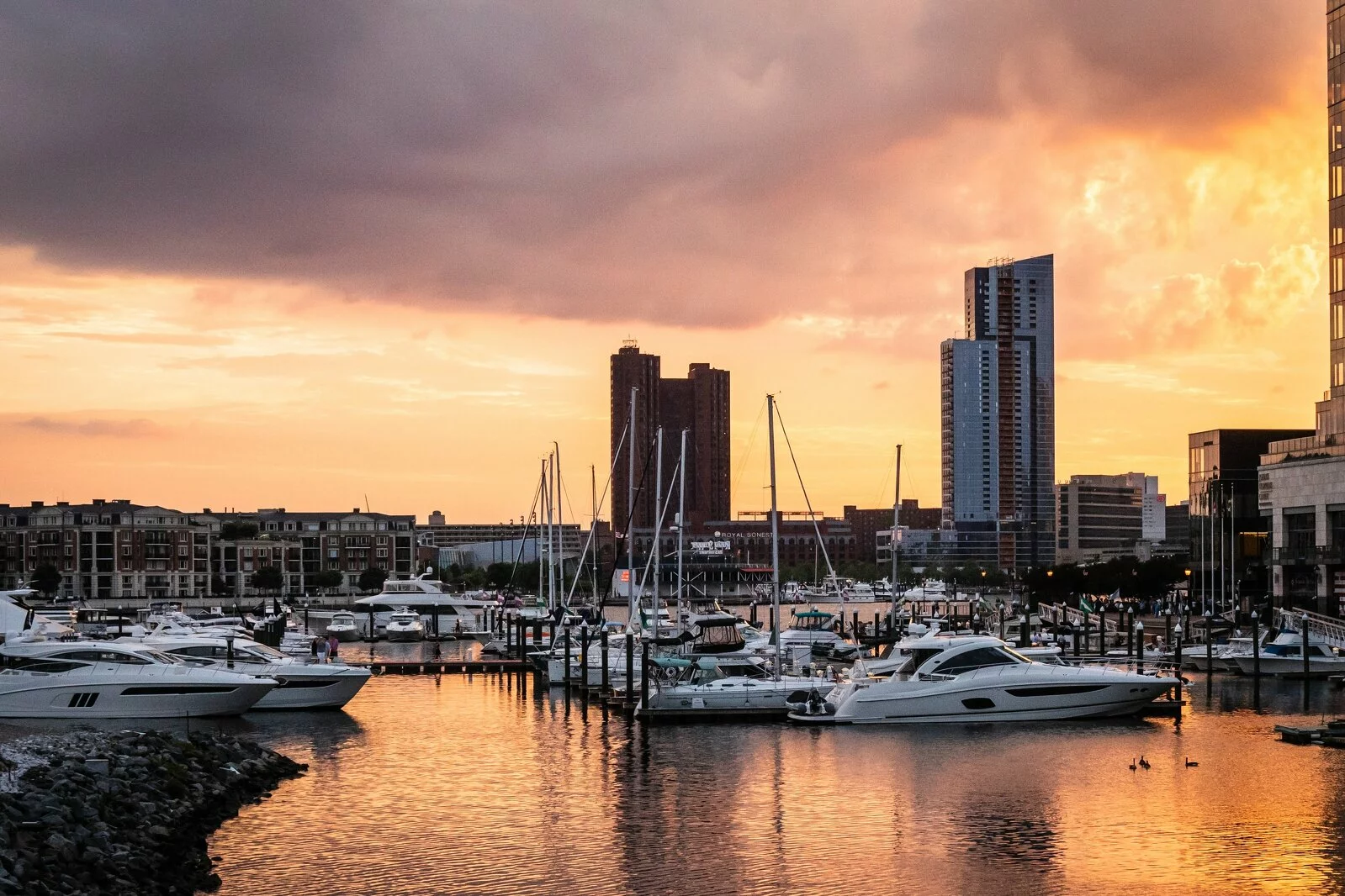 harbor at sunset, Yachts and sailboats docked, skyscrapers in background.