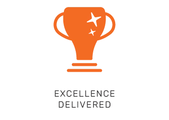 excellence delivered trophy icon